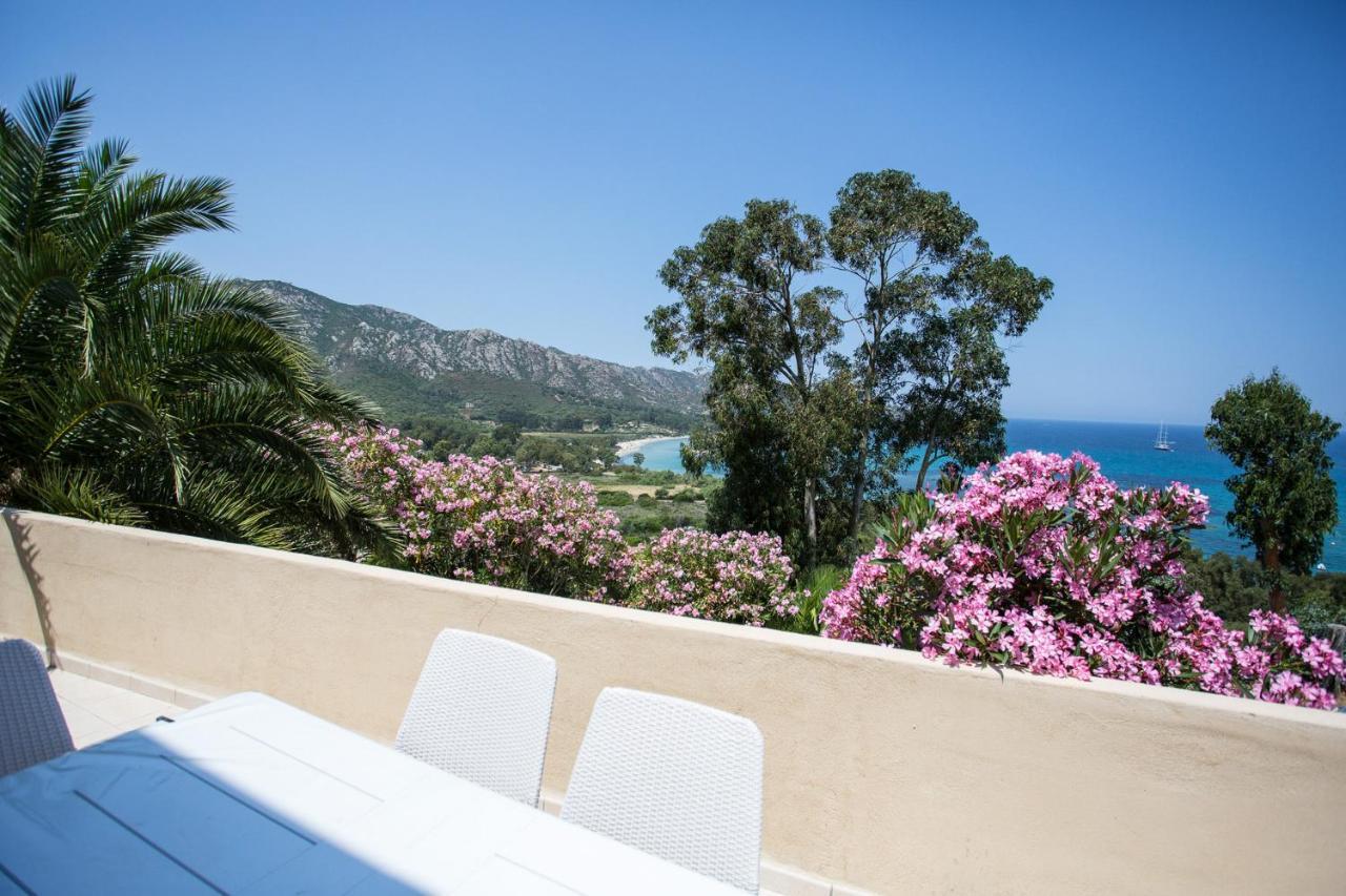 Appartement Terrasse La Citadelle Appartements Saint Florent Exterior photo